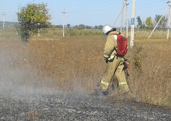 Пожар в Ольховатском районе